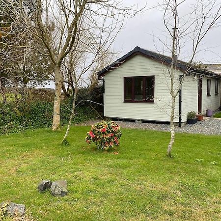 Idyllic Cornish Retreat At Puffin Lodge Хелстон Экстерьер фото