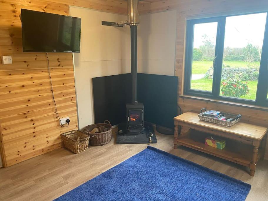 Idyllic Cornish Retreat At Puffin Lodge Хелстон Экстерьер фото