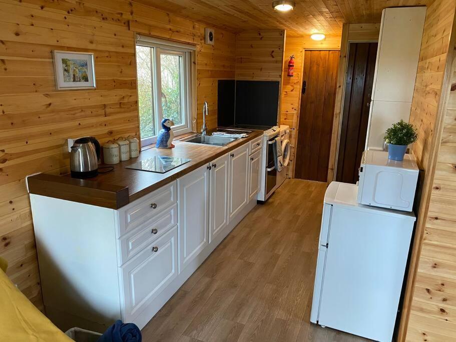 Idyllic Cornish Retreat At Puffin Lodge Хелстон Экстерьер фото