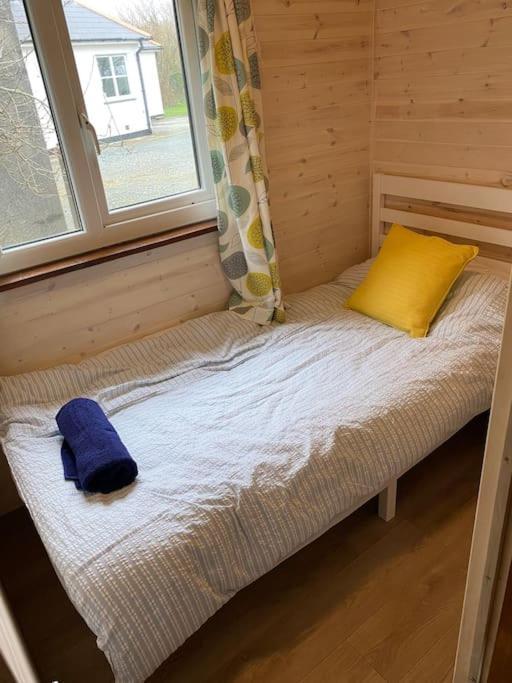 Idyllic Cornish Retreat At Puffin Lodge Хелстон Экстерьер фото
