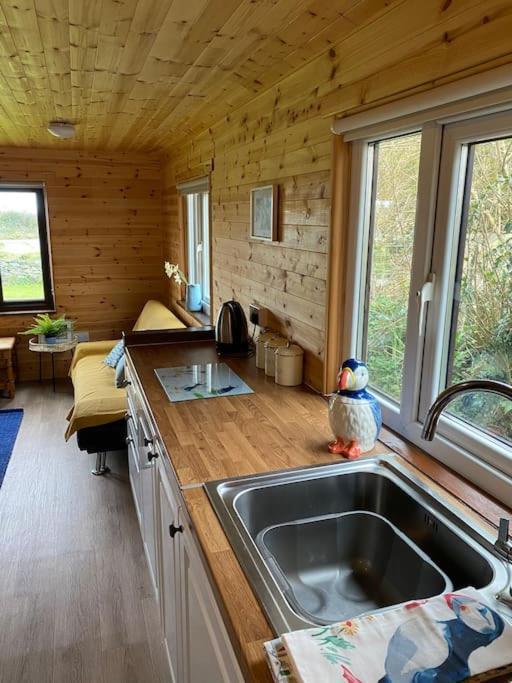 Idyllic Cornish Retreat At Puffin Lodge Хелстон Экстерьер фото